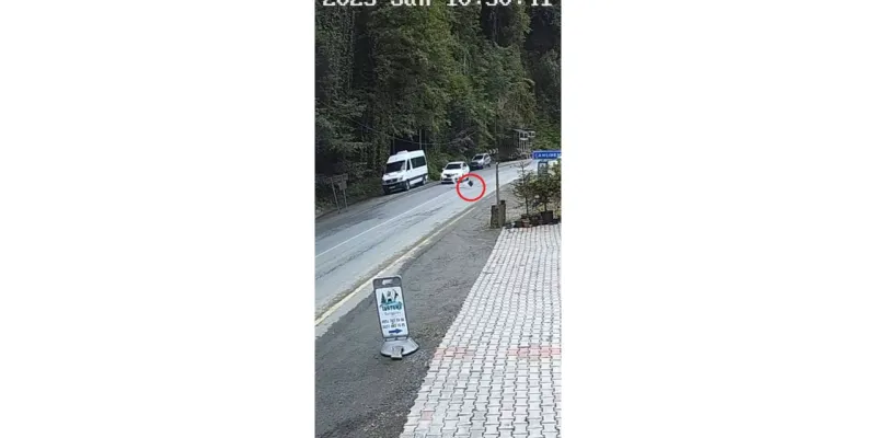 Rize'de seyir halindeki otomobilin önüne kaya düştü; o anlar kamerada