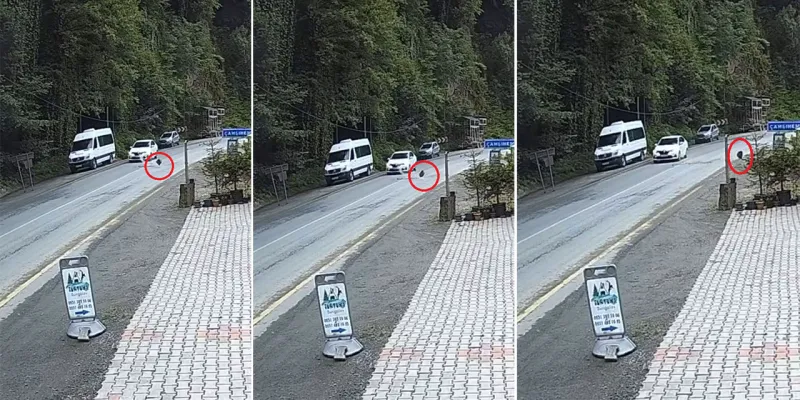 Rize'de seyir halindeki otomobilin önüne kaya düştü; o anlar kamerada