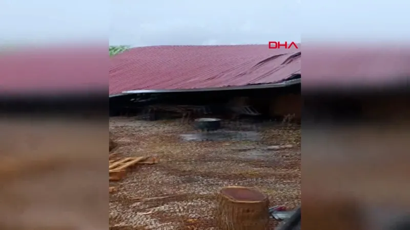 Rüzgar çatı uçurdu, ağaçlar kökünden devrildi