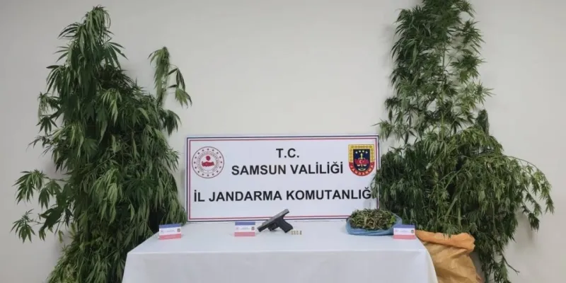 Samsun'da Uyuşturucu Operasyonu: Rekor Esrar Yakalandı!