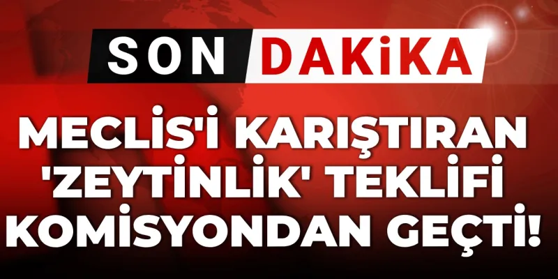 Zeytinlikler Madene Açılıyor Mu? Meclis'ten Şok Karar!