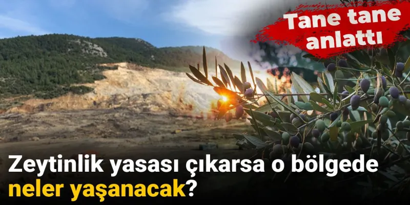 Zeytinlik Yasası Meclis'te: Zeytinlikler Yok Mu Olacak? Şok İddialar!