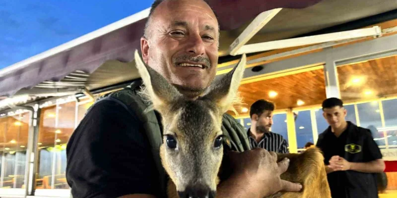 Trabzon'da Karaca Pınar'ın Hikayesi: İşletmenin Maskotu Oldu!