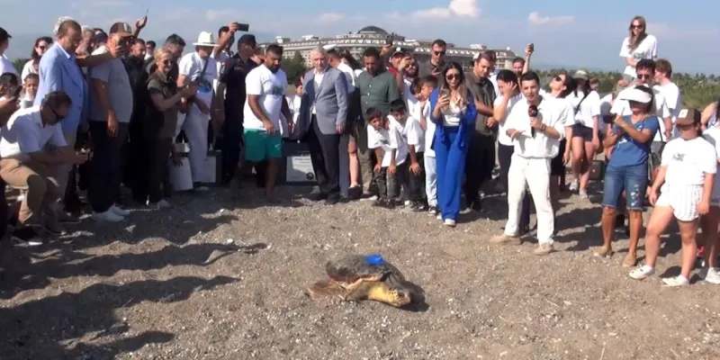 Caretta Caretta'lar Takibe Alındı! Uyduyla İzlenecekler!